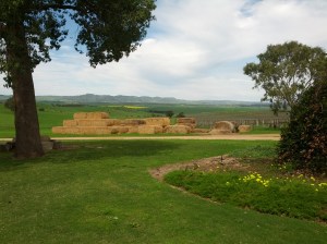 The bright yellow in the far distance of the view at Pindarie is a canola field 
