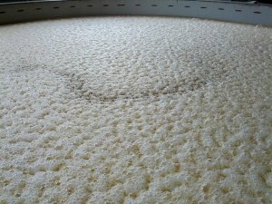 Fermenting mash at Willett.